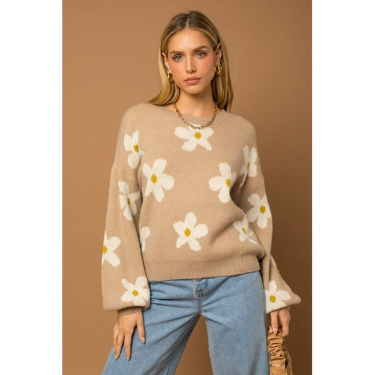 Daisies in the Fall Sweater - Desert Dreams Boutique